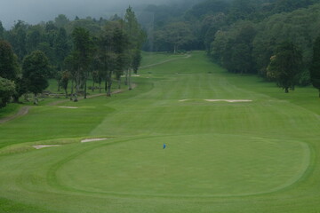 Obraz premium Green Golf Fields with Trees on the Horizon in Misty Overcast Landscape