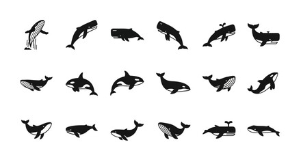 Collection of various whale and dolphin silhouettes jumping and swimming in different directions on a clean background © Steven