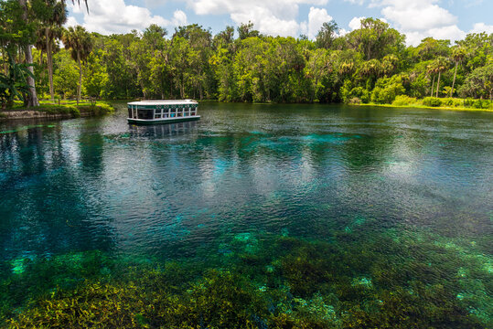 Glass bottom boat at Silver Springs State Park, Florida