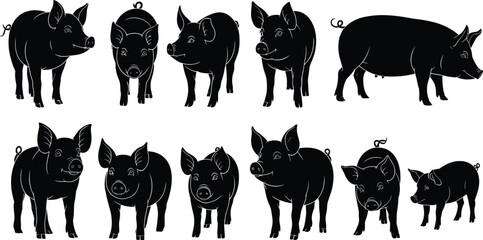 Pig Silhouette Icon Set Farm Animal Vector Collection Isolated on White Background Featuring Domestic Swine, Piglets and Livestock Illustration © MdMokter