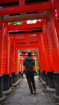 Journey through the famous torii gate pathway at Fushimi Inari