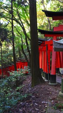 Stone lantern and vermilion torii gates at Fushimi Inari Shrine, Kyoto, Japan