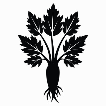chicory root silhouette vector 