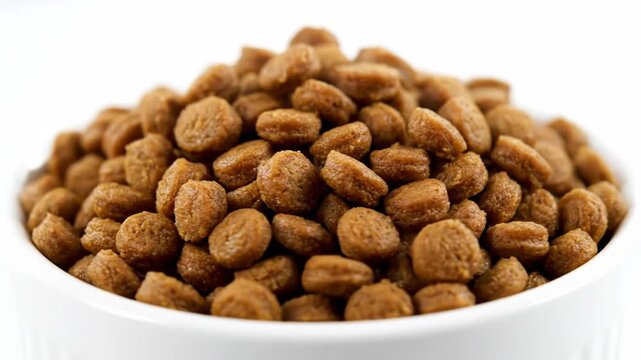 A white bowl is overflowing with dry brown pet food. This nutritious kibble is ready for a hungry cat or dog.