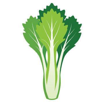 silhouette of celtuce