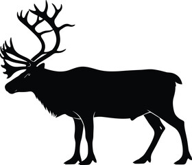 Obraz premium Black Silhouette of a Reindeer with Large Antlers Standing Profile View Isolated on White Background for Christmas and Arctic Wildlife Nature Concept