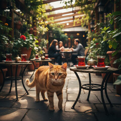 Istanbul Tea Garden Companion: Ginger Cat Wandering Among Turkish Tea Glasses