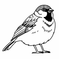 Obraz premium Minimal line art sparrow perched on a thin branch, clean monoline style, elegant simple outlines, isolated on white background.