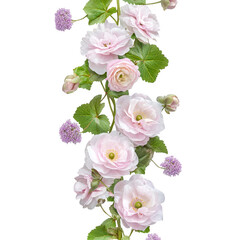 Pink roses and purple flowers with green leaves isolated on transparent background transparent background