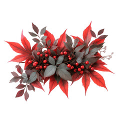 Red and green leaves with red berries on a stem isolated on transparent background transparent background