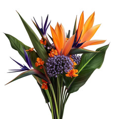 Vibrant tropical flowers and leaves arrangement with bird of paradise blooms and purple flowers transparent background