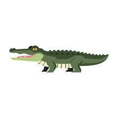 Obraz premium Illustration of an Alligator design illustrator