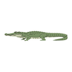 Fototapeta premium Illustration of a Green Crocodile