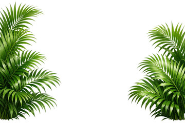 Fototapeta premium Tropical Green Palm Leaves Border on White Background