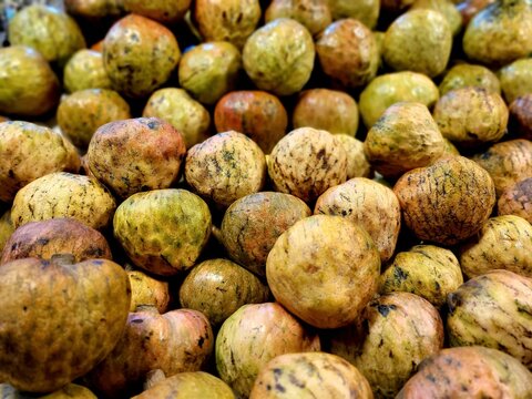 Fresh Annona reticulata fruits, commonly known as bullock&rsquo;s heart or ox heart, neatly displayed for sale in a local market.