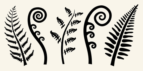 Stylized black fern fronds and spirals on a neutral background © Sukla
