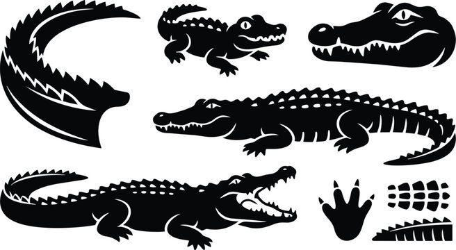 Black stencil vector set of crocodile and alligator silhouettes showing open mouth head tail footprint and scales arranged as separate elements for logo mockup use