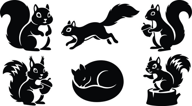 Minimalist vector icon set showing six black squirrel silhouettes in various poses holding acorn running leaping sleeping curled on stump flat design close up side view
