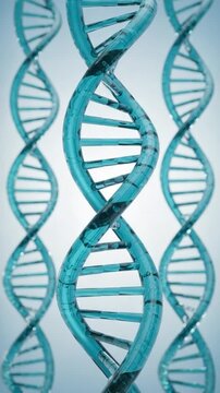 DNA helix: A captivating image revealing the intricate double helix structure of DNA strands, symbolizing the very essence of life and genetic code.