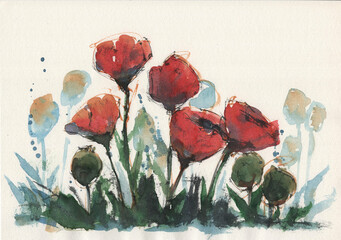 Set of elegant red poppy flowers hand-painted in watercolor on textured paper. Loose and expressive botanical illustrations featuring green buds and artistic splatters, perfect for spring designs,  © archv