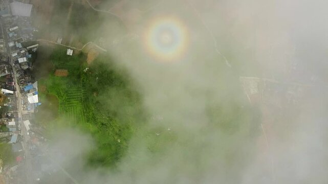 Atmospheric Optical Phenomenon: Glory Ring in Mist Above Karst Landscape
