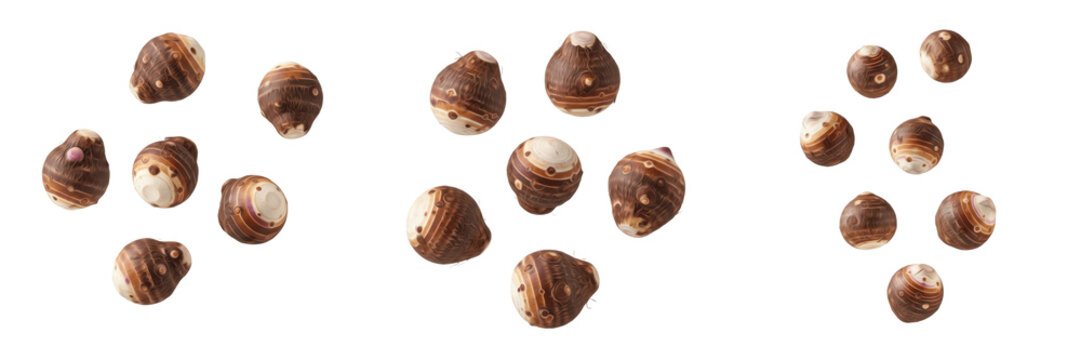 Fresh Raw Taro Roots Isolated on a Pure White Background Collection