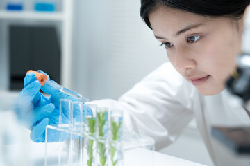 Fototapeta premium Scientist analyze biochemical samples in advanced scientific laboratory. Medical professional use dropper mix microbiological developmental of viral. Biotechnology research in science lab. cosmetic