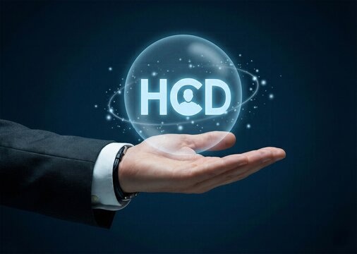 Human hand holding glowing sphere with HCD human centered design text for user experience empathy based innovation and business development strategy