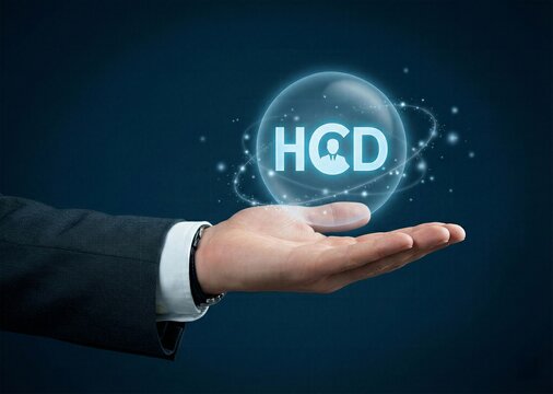 Businessman hand holding glowing blue sphere with HCD human centered design text for creative innovation and user experience strategy