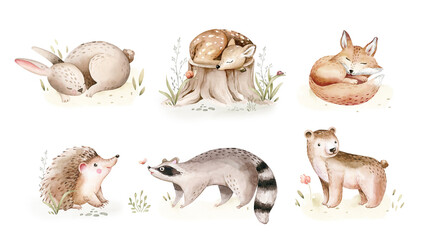Obraz premium Watercolor set of cute baby bunny and fox animal woodland nursery rabbit and raccoon isolated illustration for children. watercolour deer, bunny and hedgehog forest drawing, Bear and fox 
