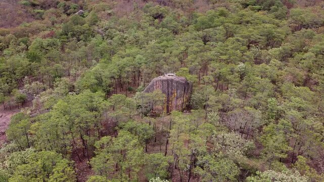 Aerial view of large rock surrounded by green vegetation and moss, natural landscape texture from above.