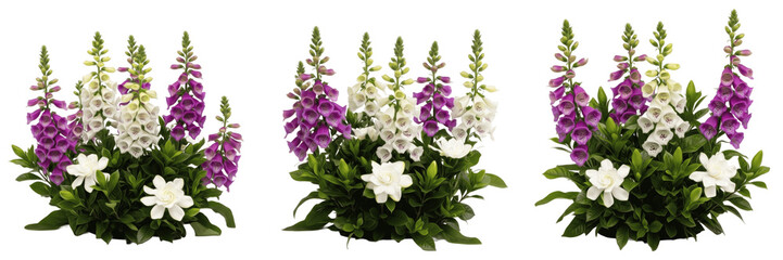 Title: Vibrant Foxglove and Gardenia Floral Collection with Purple, White, and Yellow Blooms Isolated on a Pure White Background © Zain