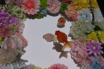 たくさんの花と魚