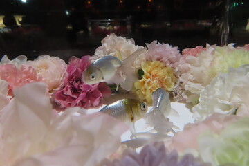花と魚の世界