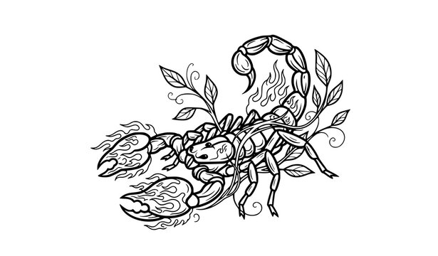 Flaming Scorpion Tattoo Vector Illustration with Leaf Ornament Dynamic Tribal Design on White