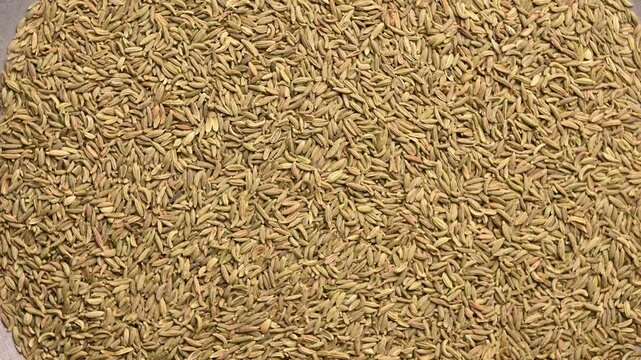 Rotating Top View of Fennel Seeds (Somp) &ndash; Aromatic Spice Texture Footage