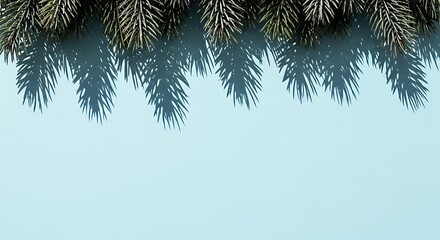 Evergreen Pine Branches Over Blue Background, Natures Tranquil Beauty, Serene Scene.