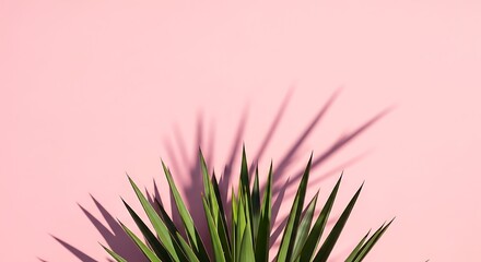 Vibrant green plant against a soft pink background with long shadows, minimalist aesthetic.