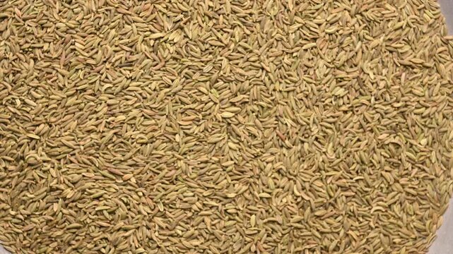 Rotating Top View of Fennel Seeds (Somp) &ndash; Aromatic Spice Texture Footage