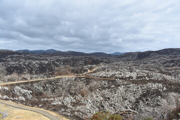 秋吉台カルスト