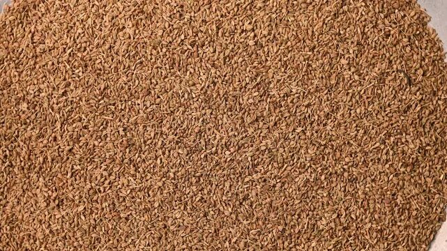 Rotating Top View of Carom Seeds (Ajwain) &ndash; Aromatic Spice Texture Footage