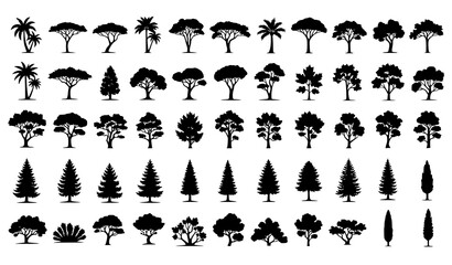 Fototapeta premium Big Set of Tree Silhouettes from Different Natural Zones Black Vector Illustration Collection Isolated on White Background
