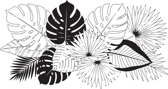 A black and white illustration of various tropical leaves