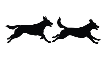 Fototapeta premium Two german shepherd silhouettes are captured mid run against a white background