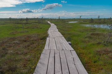 Obraz premium Wooden Path Through Yelnya Swamp in Belarus with Copy Space
