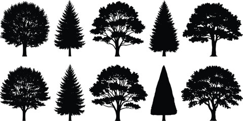 Black silhouette illustration of diverse trees, deciduous broadleaf, coniferous evergreen, forest landscape, botanical design, nature art, foliage diversity © Shahariay