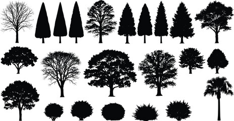 Black silhouette illustration of diverse trees, shrubs, coniferous evergreens, deciduous broadleaf, palm tree, botanical design, forest landscape, nature art © Shahariay