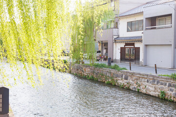 京都市東山区の白川に掛かる橋と柳並木