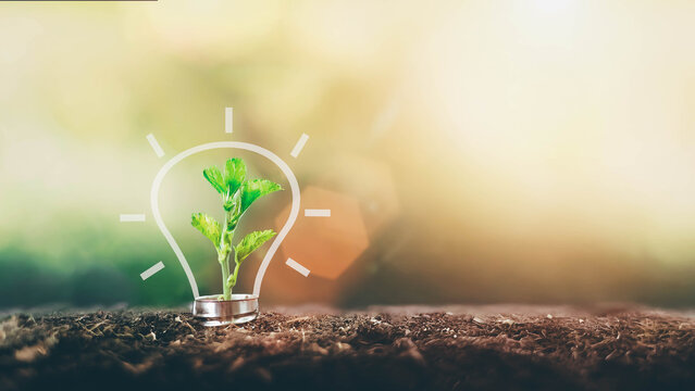 A small tree born on a light bulb with icons light bulb for renewable, sustainable development over blurred green nature background. environment concept.Ecology concept