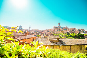 Naklejka premium Beautiful old town of Siena in Italy. Tourist destination in Italy.